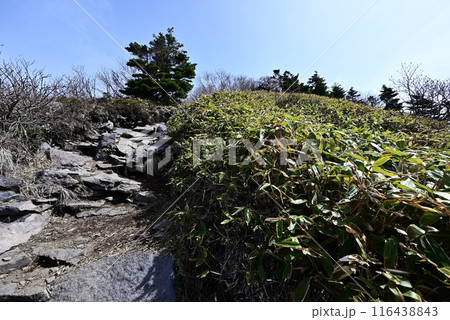 四阿山登山、長野県、群馬県 四阿山登山、長野県、群馬県 116438843