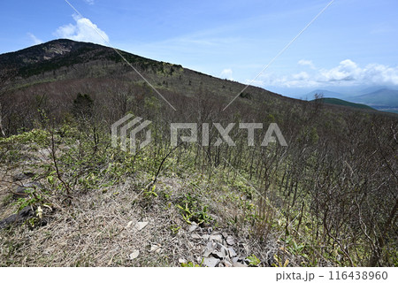 四阿山登山、長野県、群馬県 116438960