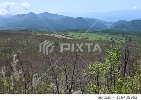 四阿山登山、長野県、群馬県 116438962
