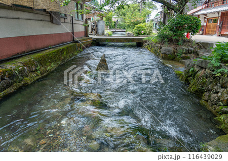 滋賀県米原市　旧中山道の醒井宿の地蔵川と呼ばれる清流のあるまちなみ 116439029