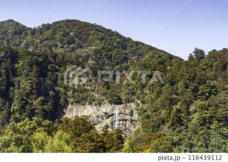 那智の御滝  116439112