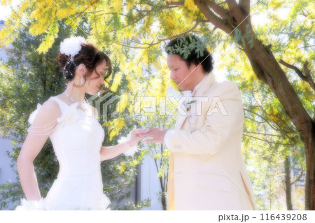 満開のミモザの木の下でウエディングドレス姿の新婦様とタキシード姿の新郎様フォトウエディング 満開のミモザの木の下でウエディングドレス姿の新婦様とタキシード姿の新郎様フォトウエディング 116439208
