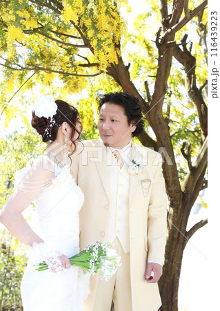 満開のミモザの木の下でウエディングドレス姿の新婦様とタキシード姿の新郎様フォトウエディング 116439223