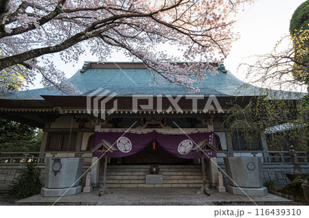 祇園寺の桜 祇園寺の桜 116439310