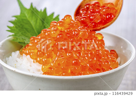 ご飯にイクラをたっぷりのせて食べる ご飯にイクラをたっぷりのせて食べる 116439429