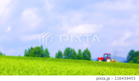 北の大地　北海道を旅しよう 116439455