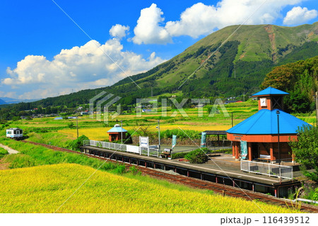 【熊本県】晴天の南阿蘇鉄道トロッコ列車と阿蘇山（白水高原駅） 116439512