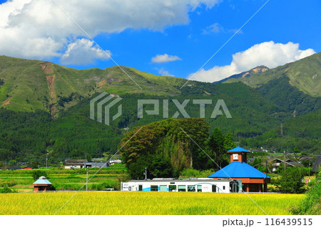 【熊本県】晴天の南阿蘇鉄道トロッコ列車と阿蘇山（白水高原駅） 116439515