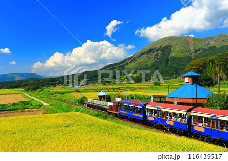 【熊本県】晴天の南阿蘇鉄道トロッコ列車と阿蘇山（白水高原駅） 116439517
