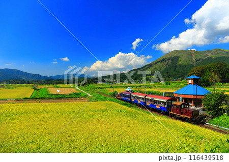 【熊本県】晴天の南阿蘇鉄道トロッコ列車と阿蘇山（白水高原駅） 116439518