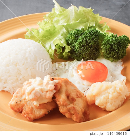 ワンプレートご飯 116439616