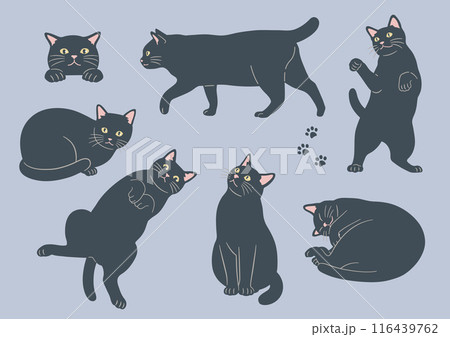 かわいい猫のさまざまなポーズのイラスト 黒猫 バリエーション かわいい猫のさまざまなポーズのイラスト 黒猫 バリエーション 116439762