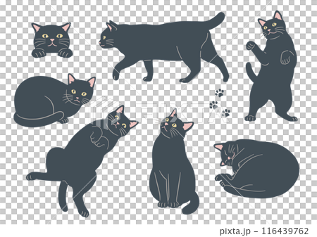 かわいい猫のさまざまなポーズのイラスト 黒猫 バリエーション かわいい猫のさまざまなポーズのイラスト 黒猫 バリエーション 116439762