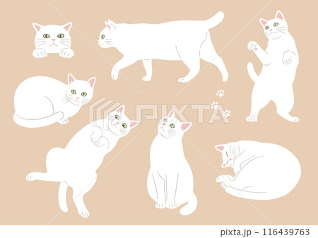 かわいい猫のさまざまなポーズのイラスト　白猫　バリエーション 116439763