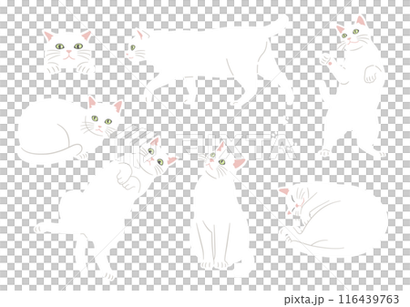 かわいい猫のさまざまなポーズのイラスト　白猫　バリエーション 116439763