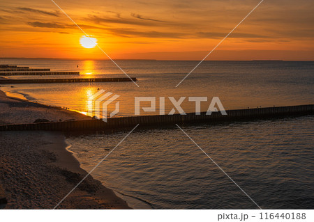 View of sand beach with wooden breakwaters on the Baltic Sea coast on sunset in Zelenogradsk. Russia View of sand beach with wooden breakwaters on the Baltic Sea coast on sunset in Zelenogradsk. Russia 116440188