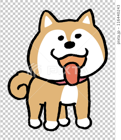 二頭簡單可愛柴犬人物素材 116440243