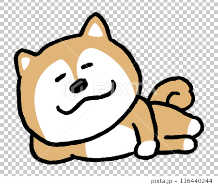 二頭簡單可愛柴犬人物素材 116440244