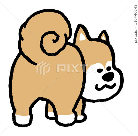 二頭身でシンプルでかわいい柴犬のキャラ素材 116440245