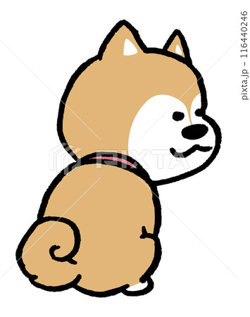 二頭身でシンプルでかわいい柴犬のキャラ素材 116440246