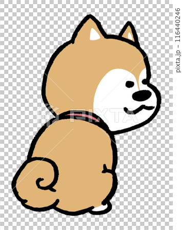 二頭身でシンプルでかわいい柴犬のキャラ素材 116440246