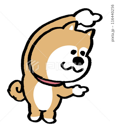 二頭身でシンプルでかわいい柴犬のキャラ素材 116440256