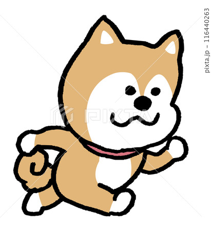 二頭身でシンプルでかわいい柴犬のキャラ素材 二頭身でシンプルでかわいい柴犬のキャラ素材 116440263