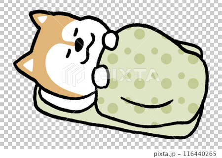 A simple and cute Shiba Inu character with a two-headed body 116440265