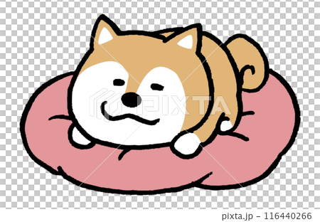 二頭簡單可愛柴犬人物素材 116440266