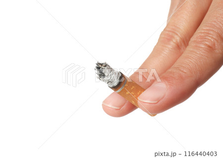 PNG,Smoldering cigarette in hand, isolated on white background 116440403