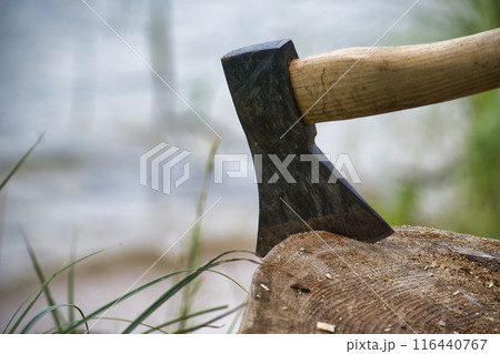 Close-up of an axe embedded in a tree stump beside a lake reflecting nature and the outdoors 116440767