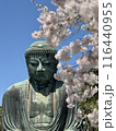 桜の下で祈る大仏 116440955
