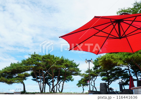 Scenery of a rest area at  tourist attraction with large red parasol 116441636