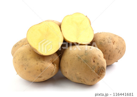 じゃがいも（ニシユタカ） 116441681