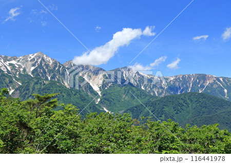 黒菱スカイビューポイントから望む白馬三山 116441978
