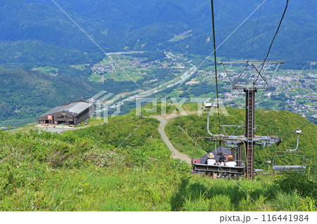 八方尾根 グラートクワッドリフトからの眺望 八方尾根 グラートクワッドリフトからの眺望 116441984