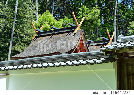 大原野神社 本殿 大原野神社 本殿 116442284