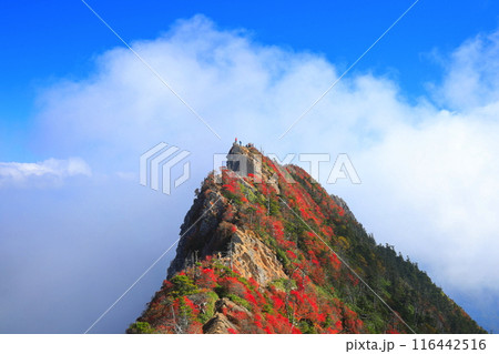 【愛媛県】霧に包まれる紅葉の天狗岳(石鎚山) 【愛媛県】霧に包まれる紅葉の天狗岳(石鎚山) 116442516
