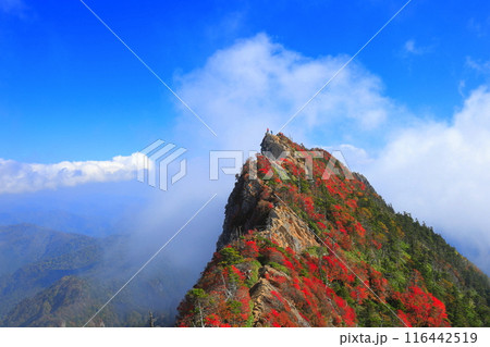 【愛媛県】霧に包まれる紅葉の天狗岳(石鎚山) 【愛媛県】霧に包まれる紅葉の天狗岳(石鎚山) 116442519
