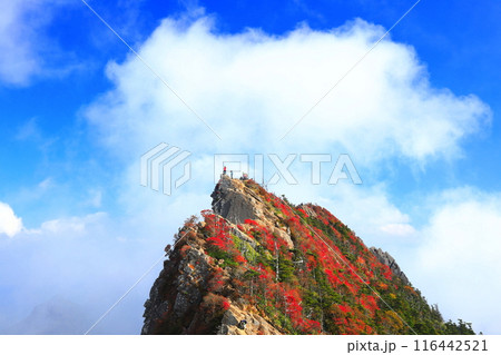 【愛媛県】霧に包まれる紅葉の天狗岳（石鎚山） 116442521