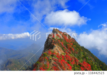 【愛媛県】霧に包まれる紅葉の天狗岳(石鎚山) 【愛媛県】霧に包まれる紅葉の天狗岳(石鎚山) 116442523