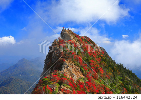 【愛媛県】霧に包まれる紅葉の天狗岳(石鎚山) 【愛媛県】霧に包まれる紅葉の天狗岳(石鎚山) 116442524