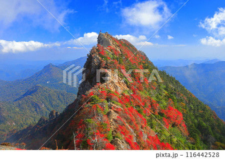 【愛媛県】霧に包まれる紅葉の天狗岳（石鎚山） 116442528