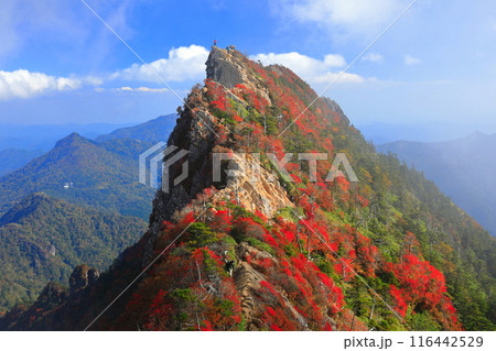 【愛媛県】霧に包まれる紅葉の天狗岳（石鎚山） 116442529