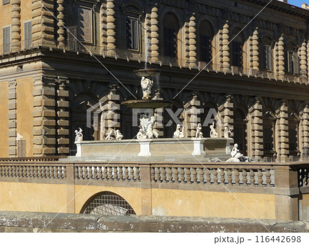 Palazzo Pitti, Florence, Italy Palazzo Pitti, Florence, Italy 116442698