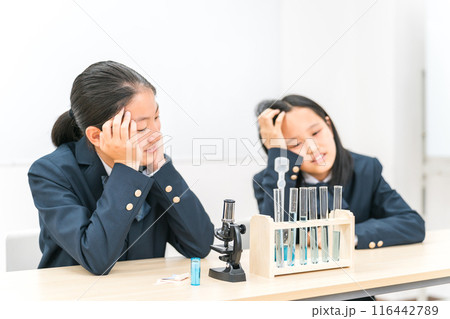 理科の実験をする中学生の女の子 理科の実験をする中学生の女の子 116442789