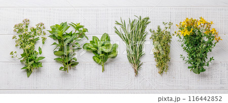 Various herbs and spices on the table 116442852