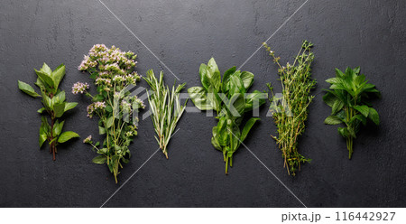 Various herbs on the table Various herbs on the table 116442927