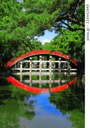 【大阪府】シンメトリーな住吉大社の反橋（太鼓橋） 116442949