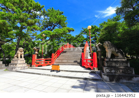 【大阪府】快晴の住吉大社の反橋（太鼓橋） 116442952